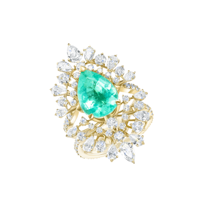 R49-FD-081-5 Кольцо (750)