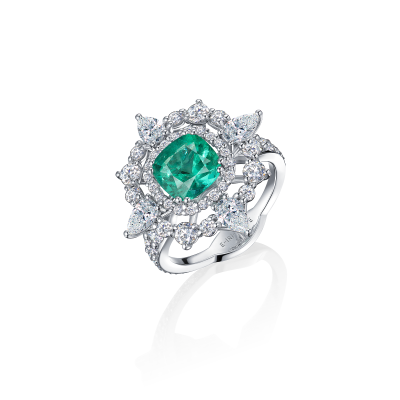 R04-C-003-6 Кольцо (750)