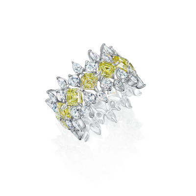R01-C-005-6 Кольцо (750)