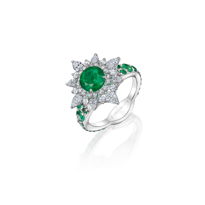 R11-FD-003-6 Кольцо (750)